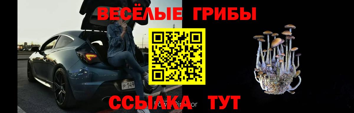Псилоцибиновые грибы мицелий Магнитогорск